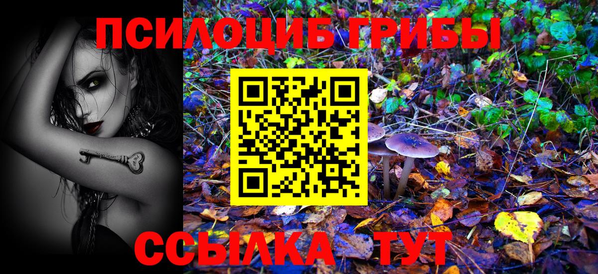 Псков  Псилоцибиновые грибы мицелий  Вход с VPN 
