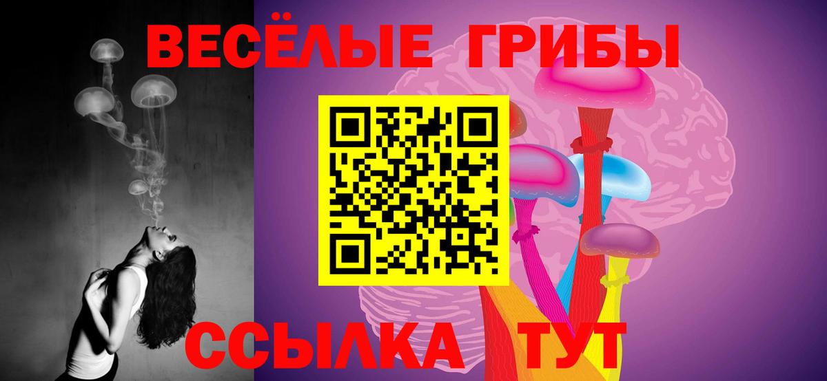Псилоцибиновые грибы мицелий Псков